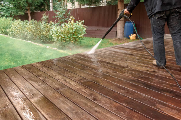 Best Pre-Holiday Cleaning  in Lake Bluff, IL